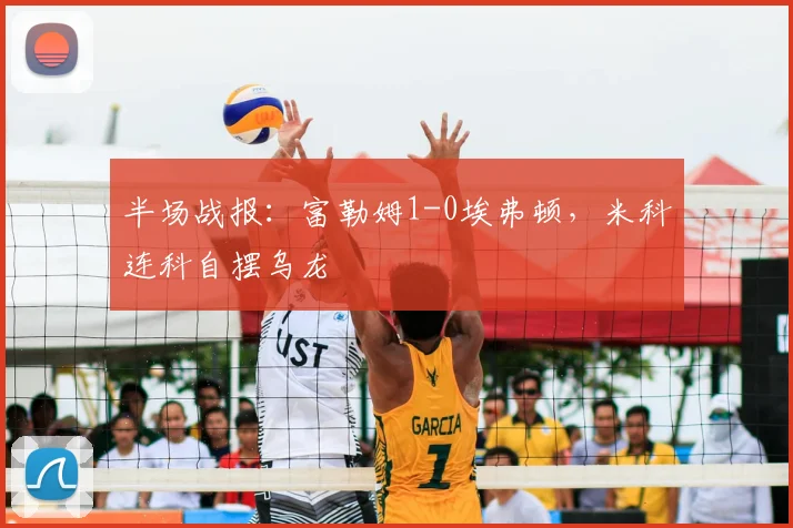 半场战报：富勒姆1-0埃弗顿，米科连科自摆乌龙