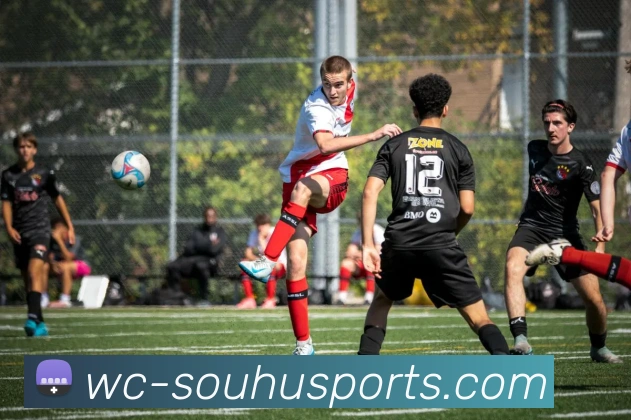 搜狐体育服务体系